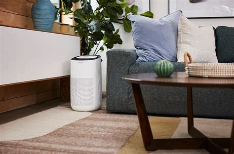 Can an Air Purifier Make You Sick? Exploring the Paradox of Clean Air