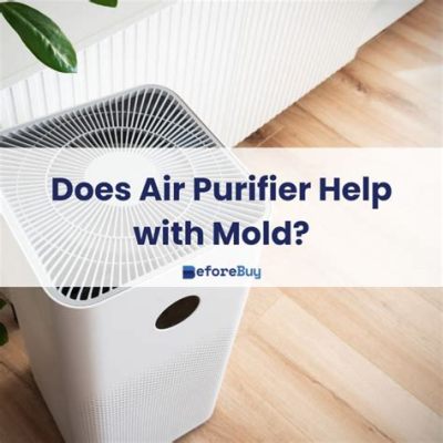 Does an Air Purifier Help with Dust? And Why Do Cats Always Sit Near It?