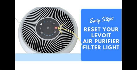 How to Reset Filter Light on Levoit Mini Air Purifier: A Journey Through the Mysteries of Air and Light