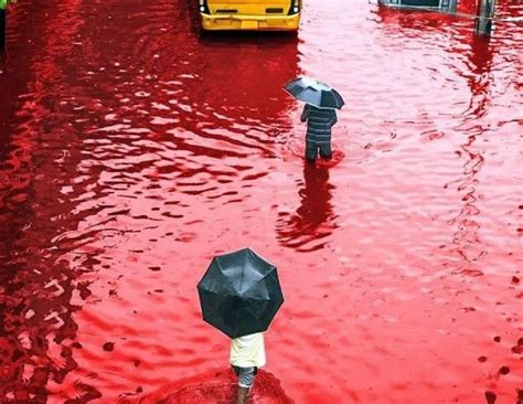  Raining Blood Bir Kan Yağmuru Gibi Yükselen, Gür ve Tehlikeli Solo Gitarlar ile Doludur